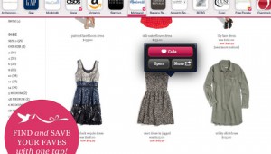 Flit iPad app for shopping